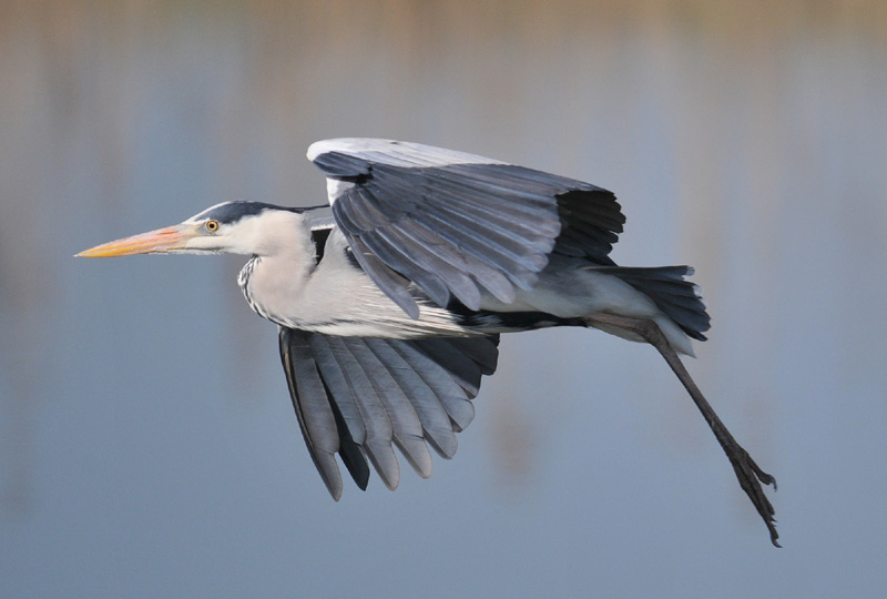 Finalmente in volo...